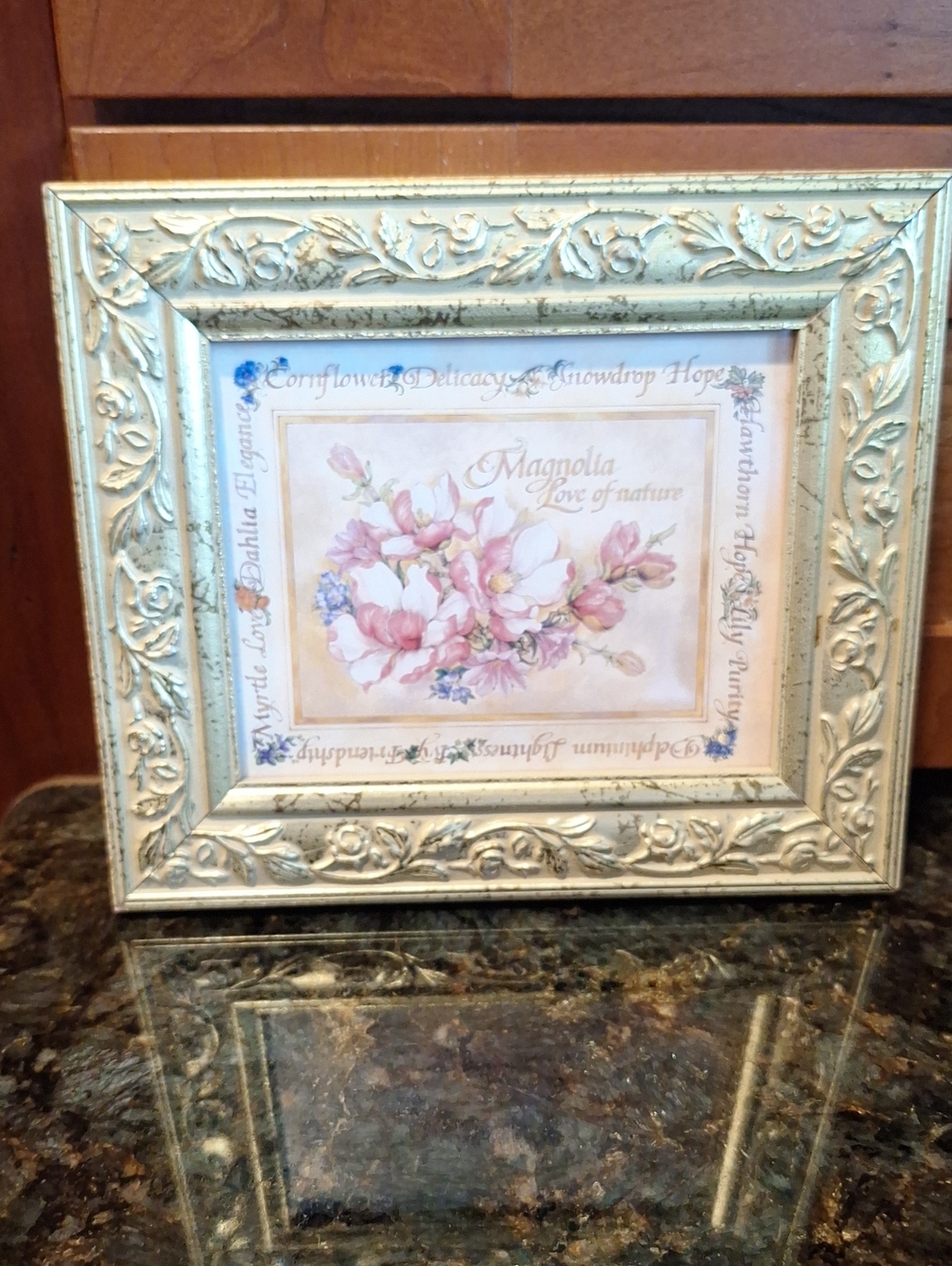 Magnolia Floral Print in Cream and Pink Frame by Magnolia